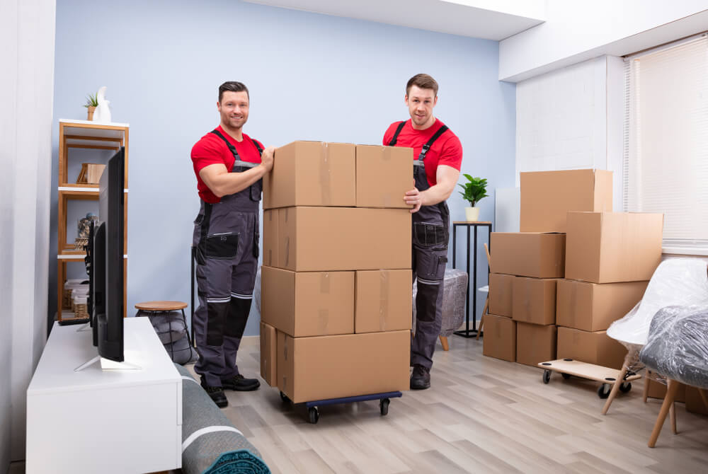 Packing And Moving Services In New York